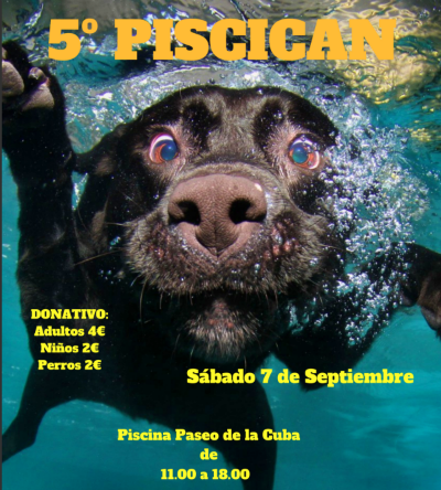 Piscican Feria de Albacete 2019